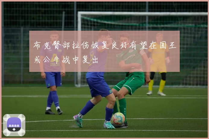 布克臀部拉伤恢复良好有望在国王或公牛战中复出